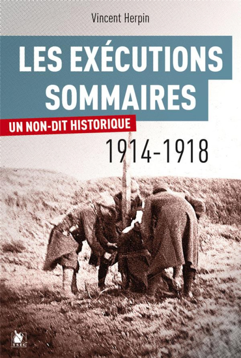 Emprunter Les exécutions sommaires 1914-1918. Un non-dit historique ? livre