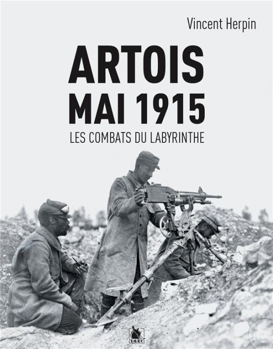 Emprunter Artois 9 mai 1915. Les combats du Labyrinthe livre