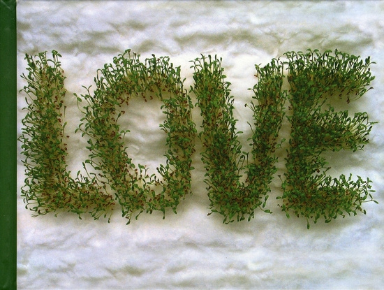 Emprunter Love livre