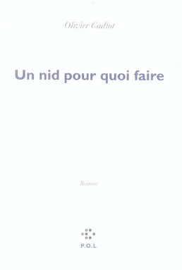 Emprunter Un nid pour quoi faire livre