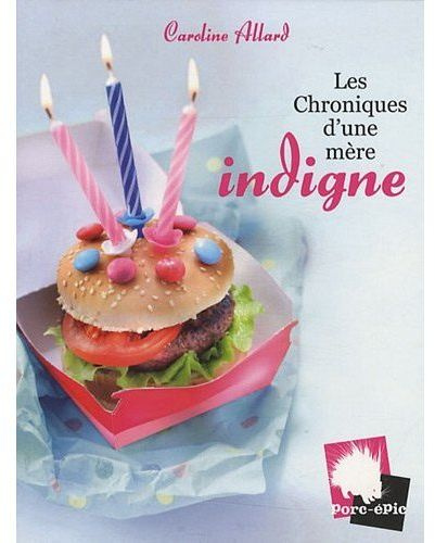 Emprunter Les Chroniques d'une mère indigne livre