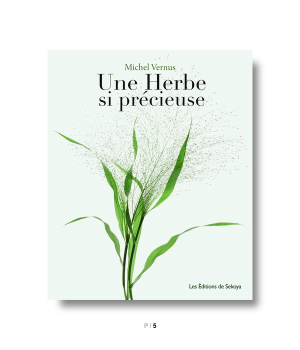 Emprunter Une herbe si précieuse livre