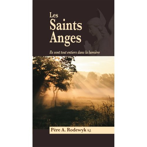 Emprunter Les saints anges. Ils sont tout entiers dans la lumière livre