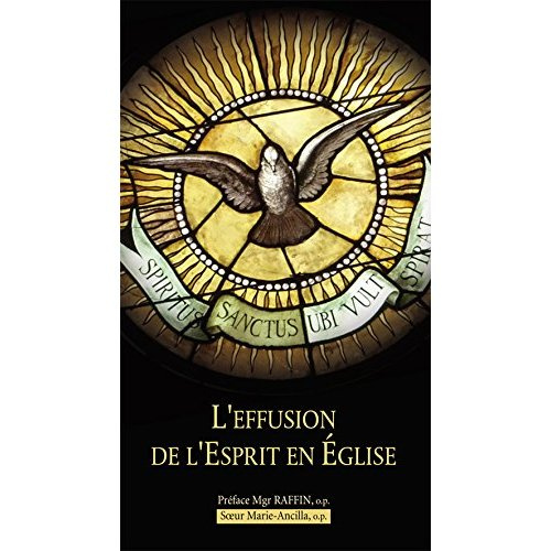Emprunter L'effusion de l'Esprit en Eglise livre