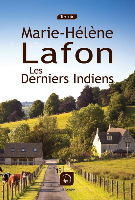 Emprunter Les derniers indiens [EDITION EN GROS CARACTERES livre