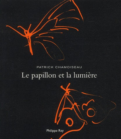 Emprunter Le papillon et la lumière livre