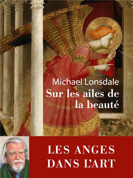 Emprunter Sur les ailes de la beauté livre