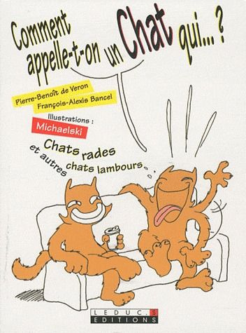 Emprunter Comment appelle-t-on un chat qui... ? livre