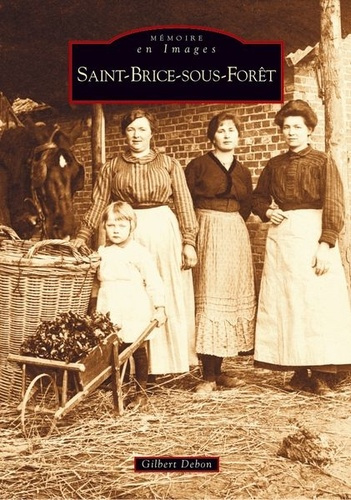 Emprunter SAINT-BRICE-SOUS-FORET livre