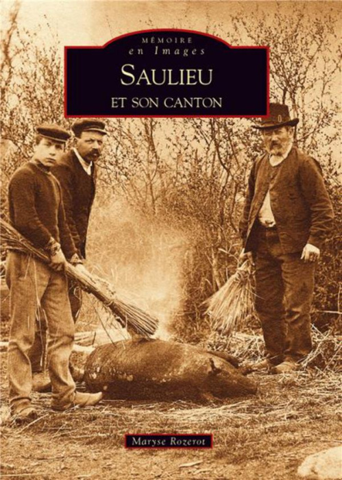 Emprunter SAULIEU ET SON CANTON livre