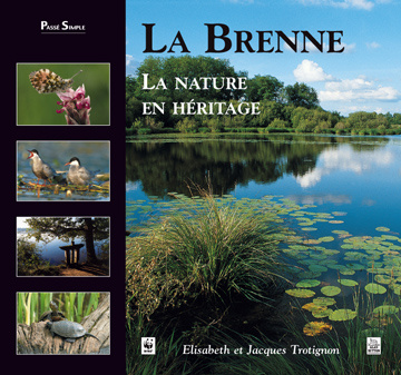 Emprunter BRENNE - LA NATURE EN HERITAGE (LA) livre
