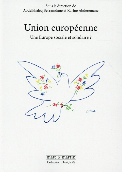 Emprunter Union européenne. Une Europe sociale et solidaire ? livre