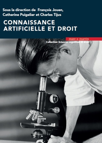 Emprunter Connaissance artificielle et droit livre