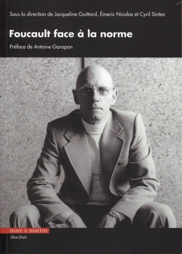 Emprunter Foucault face à la norme livre