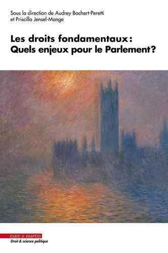 Emprunter Les droits fondamentaux : quels enjeux pour le Parlement ? livre