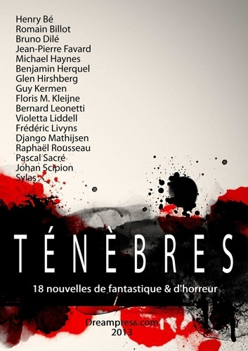 Emprunter Ténèbres 2013 livre