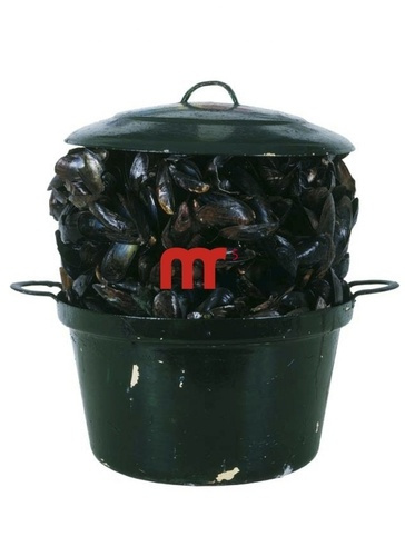 Emprunter Busy going crazy, collection Sylvio Perlstein. Art & photographie de dada à aujourd'hui livre