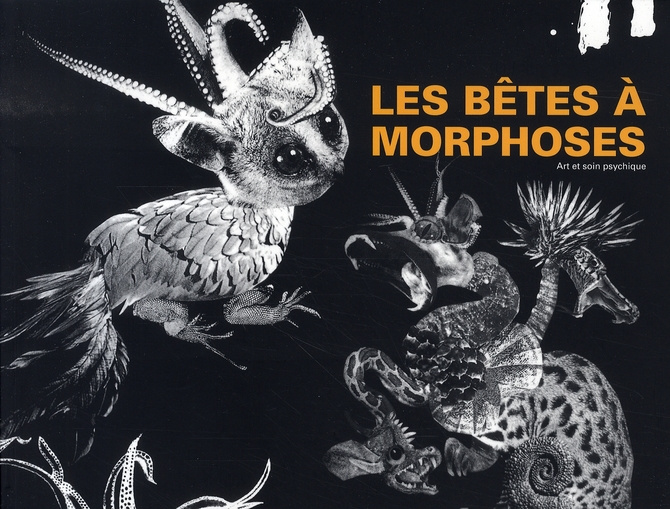 Emprunter LES BETES A MORPHOSES - ART ET SOIN PSYCHIQUE livre