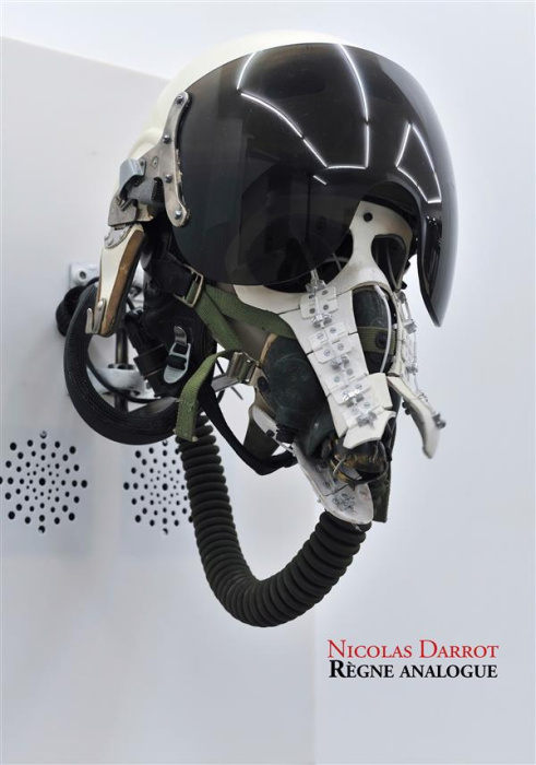 Emprunter Règne analogue Nicolas Darrot livre