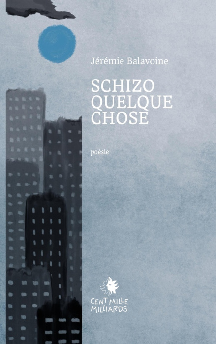 Emprunter Schizoquelquechose livre