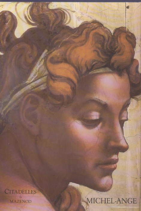 Emprunter La Chapelle Sixtine Coffret en 2 volumes livre