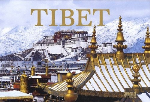 Emprunter Tibet livre