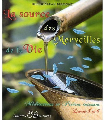 Emprunter La source des merveilles de la vie. Livres 5 et 6 : Méditions et prières intenses livre