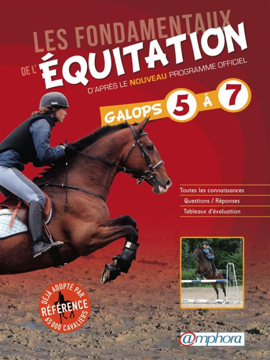 Emprunter Les fondamentaux de l'équitation. Galops 5 à 7 / Galops de 5 à 7 - D'après le nouveau programme offi livre