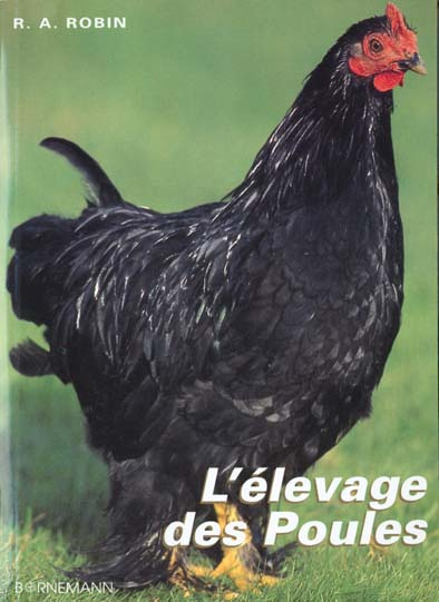 Emprunter L'élevage des poules. Pour la chair et les oeufs livre