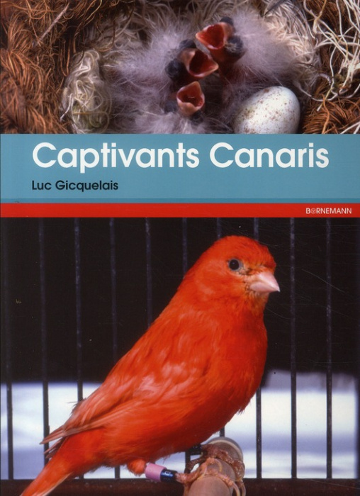 Emprunter Captivants canaris. Canaris de couleurs, de chants, de postures et frisés livre