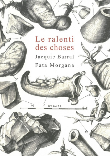 Emprunter Le ralenti des choses livre