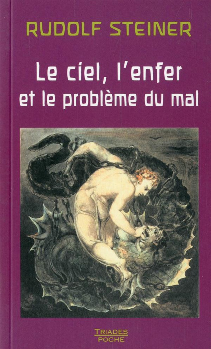 Emprunter Le ciel, l'enfer et le problème du mal. 5 conférences livre