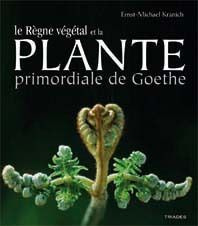 Emprunter La plante primordiale de Goethe et le règne végétal. Des lichens aux plantes supérieures livre