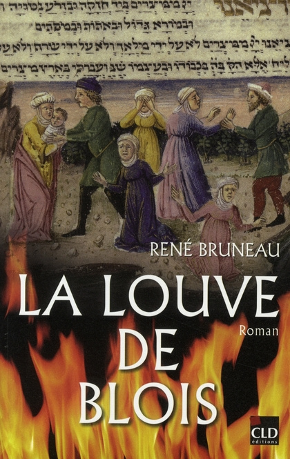 Emprunter La louve de Blois livre