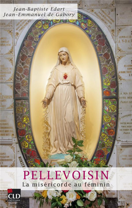 Emprunter Pellevoisin. La miséricorde au féminin livre