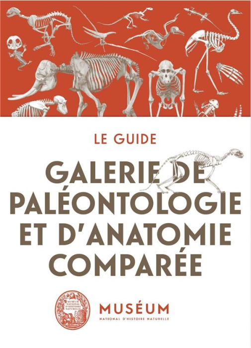 Emprunter La galerie de paléontologie et d'anatomie comparée livre