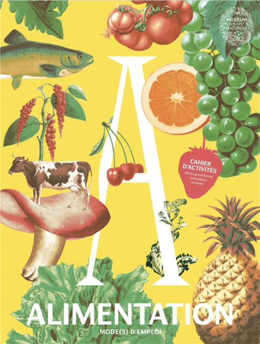Emprunter Alimentation mode(s) d'emploi. Cahier d'activités, avec une affiche grand format, des autocollants, livre