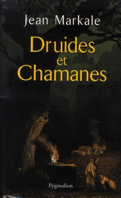 Emprunter Druides et Chamanes livre