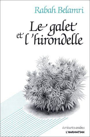 Emprunter Le galet de l'hirondelle livre