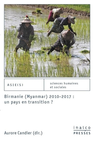 Emprunter Birmanie (Myanmar) 2010-2017 : un pays en transition ? livre