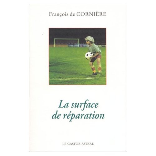 Emprunter La surface de réparation livre
