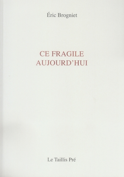 Emprunter Juste un pont sans feu livre