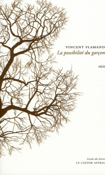 Emprunter La possibilité du garçon livre