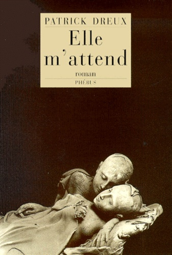 Emprunter Elle m'attend livre