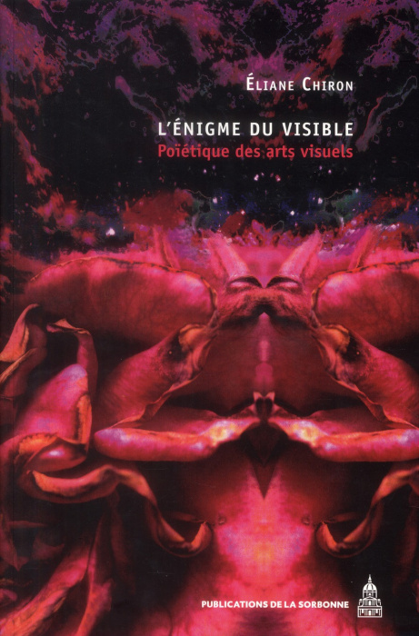 Emprunter ENIGME DU VISIBLE livre