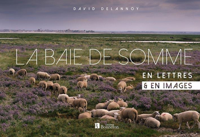 Emprunter La baie de Somme en lettres & en images livre