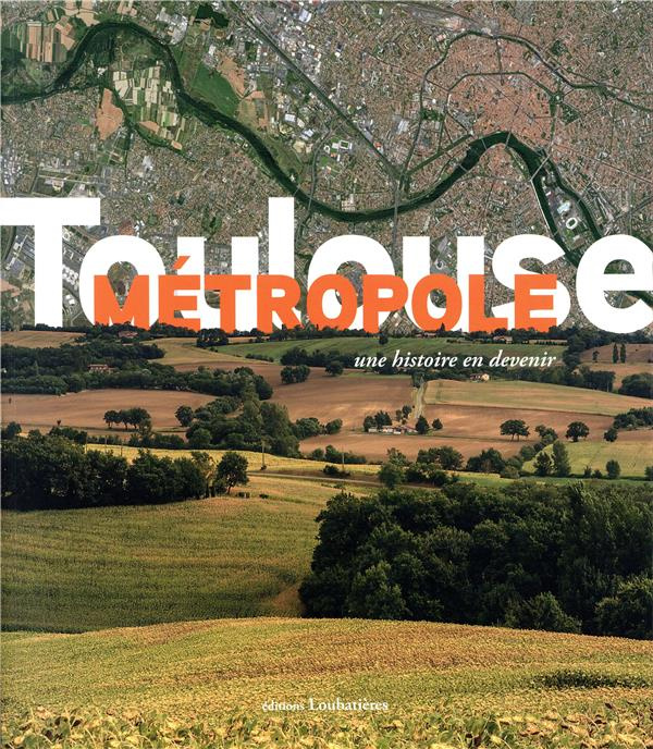 Emprunter Toulouse Métropole. Une histoire en devenir livre