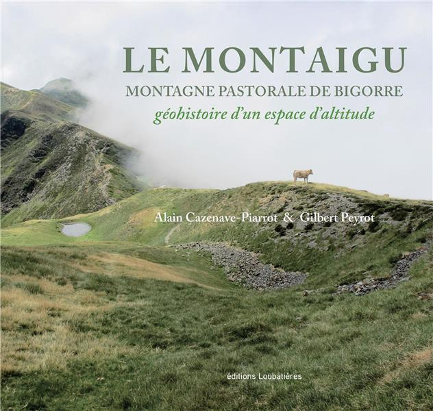 Emprunter Le Montaigu, montagne pastorale de Bigorre. Géohistoire d'un espace d'altitude livre