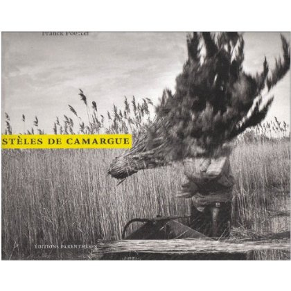 Emprunter stèles de la camargue livre