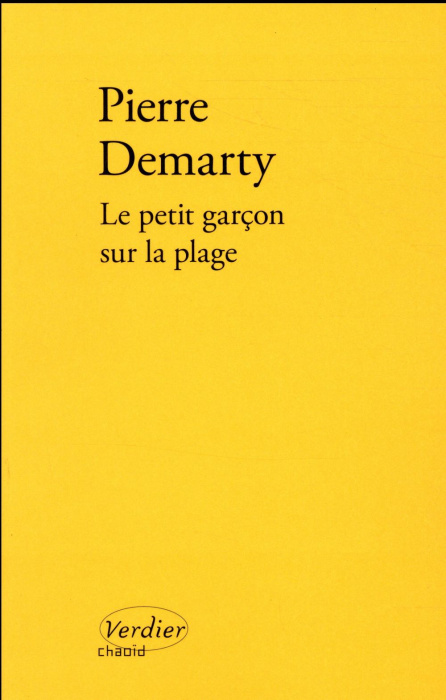 Emprunter Le petit garçon sur la plage livre